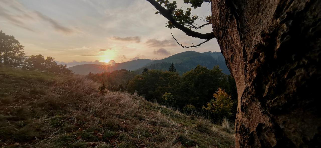 Penzion Rzehaczek Dolní Lomná Exterior foto