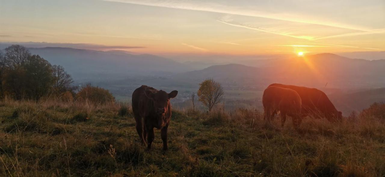 Penzion Rzehaczek Dolní Lomná Exterior foto