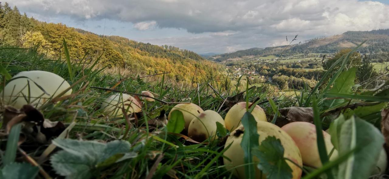 Penzion Rzehaczek Dolní Lomná Exterior foto