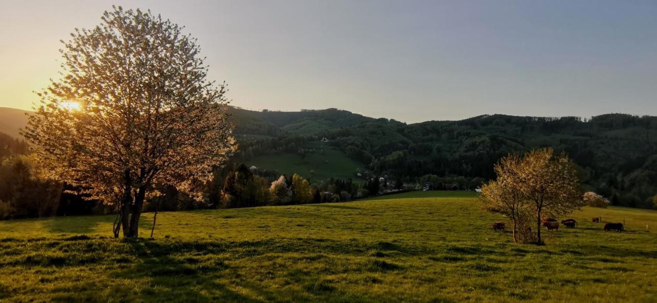 Penzion Rzehaczek Dolní Lomná Exterior foto